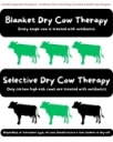 Dry Cow Decisions: Is Selective Therapy the Right Fit?