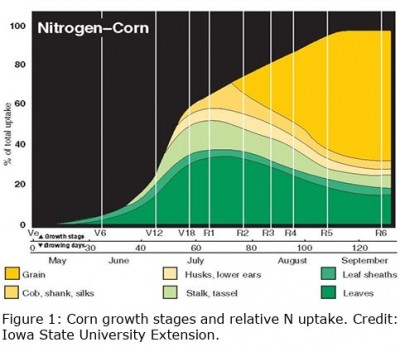 A Side of Nitrogen, Please!