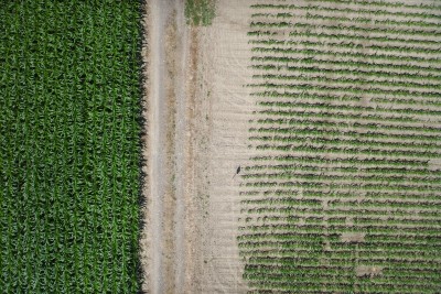 All About Drone Imaging