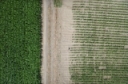 All About Drone Imaging