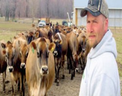 Grazing at Grassland Dairy