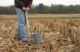 Soil Sampling for Field Crops