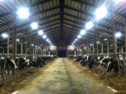 Updated Technology Provides an Advantage: LED Lighting and LDPP