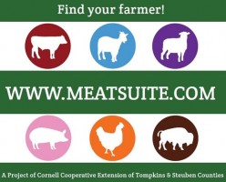 Welcome to MeatSuite!