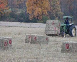 NY Forage Legume And Grass Variety Yield Trials Summary 2012 - 2010