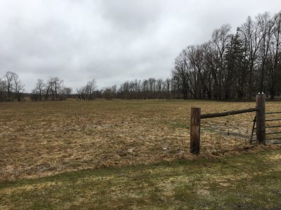 Stockpiling Pastures