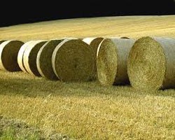 Hay Storage Considerations, Don't Waste it!