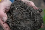 Soil